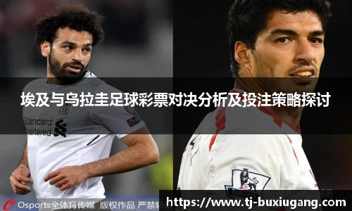 芒果体育app官网入口